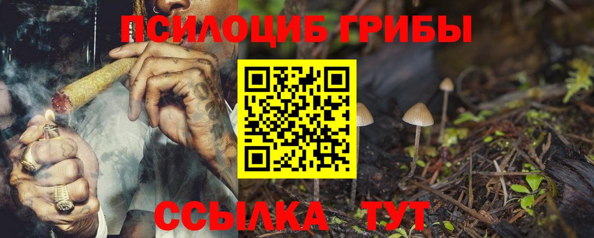 Псилоцибиновые грибы GOLDEN TEACHER  Вход с VPN  Брянск 