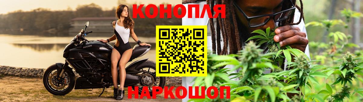 Бошки Шишки THC 21%  Каннабис планчик  Брянск  МАРИХУАНА планчик  Вход с VPN 